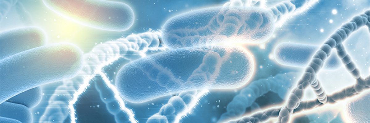 Legionella legionella