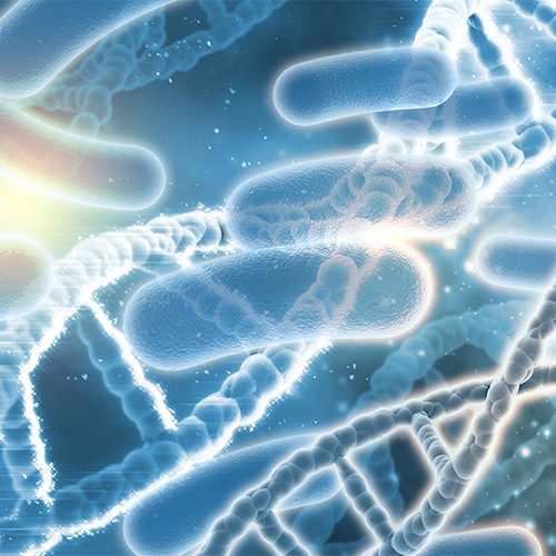 Come valutare e gestire il rischio legionella negli ambienti di lavoro